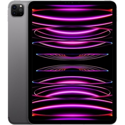 Apple iPad Pro 11 (2022) 1Tb Wi-Fi (Space Gray)